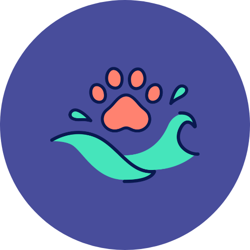 SplashBuddy