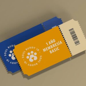 SB Basic (1 año)