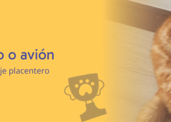 Tips para viajar con tu SoulBuddy en auto o avión