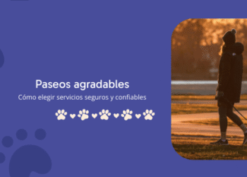 Cómo elegir servicios pet friendly seguros y confiables