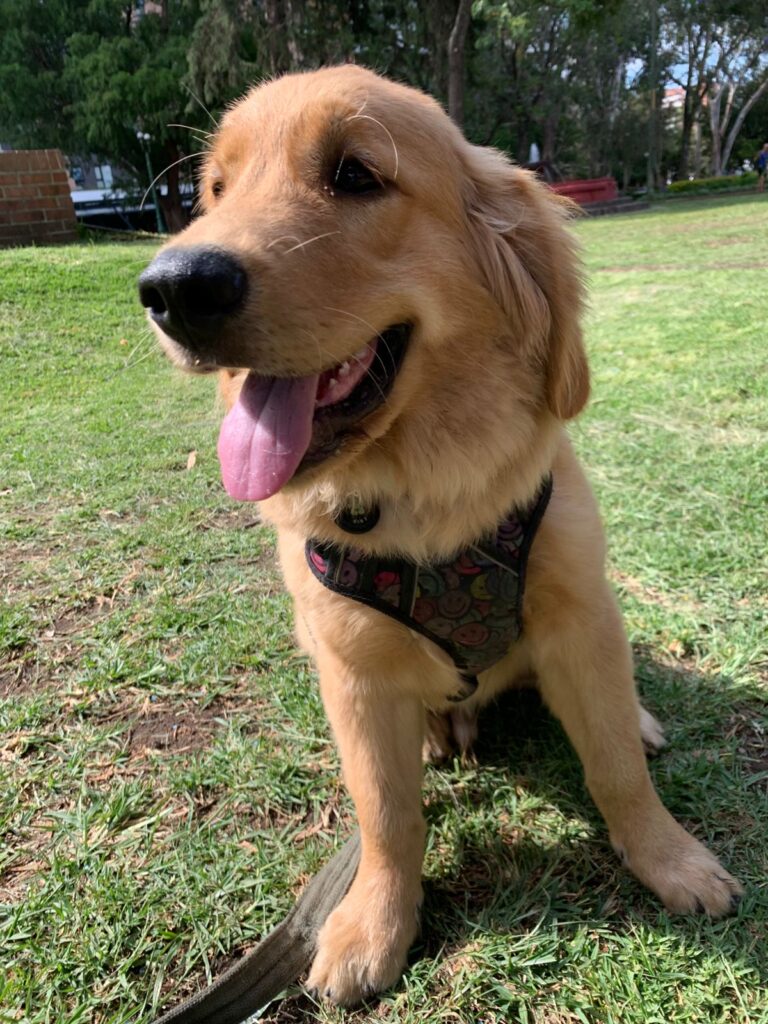 Ares