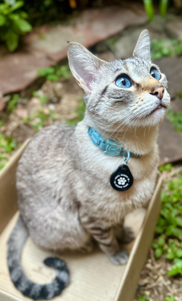 Horus